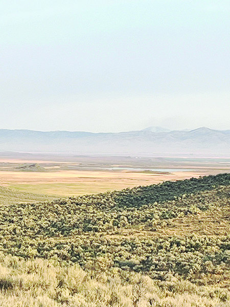 View-of-Mormon-Reservoir-from-Fir-Grove-Road