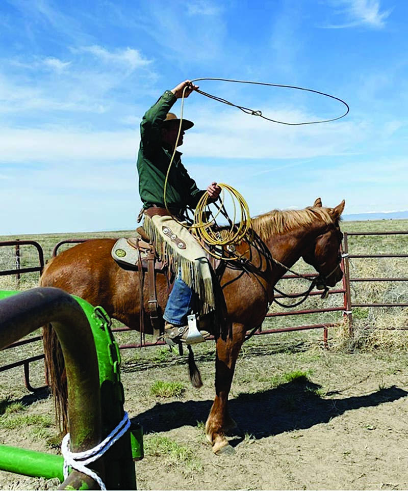 BurleyCowboy