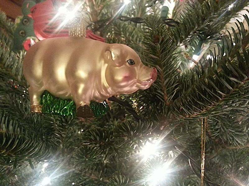 every-christmas-tree-needs-a-pig-ornament