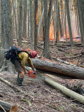 Sand Mountain Fire